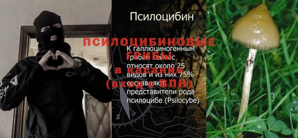 эйфоретик Алексеевка