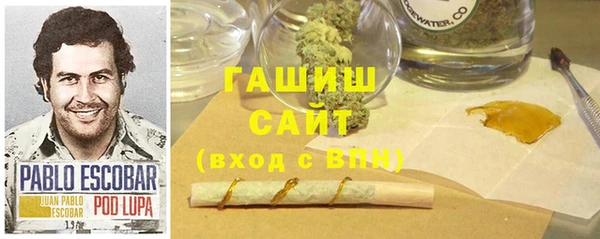 гидра Алексин