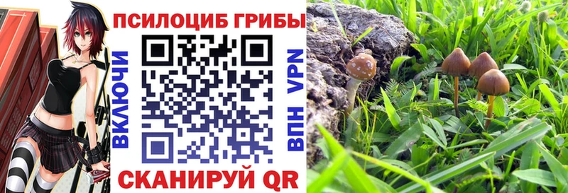 Псилоцибиновые грибы Psilocybe  KRAKEN как зайти  Палласовка 